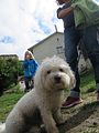 IMG_2079