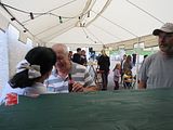 IMG_2087
