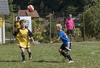 BURG-CUP-18-031