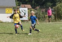 BURG-CUP-18-032