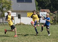 BURG-CUP-18-033