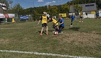 BURG-CUP-18-037