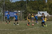 BURG-CUP-18-039