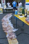 BURG-CUP-18-208