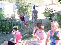 IMG_5897