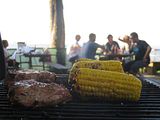 IMG_7537
