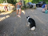 IMG_7541